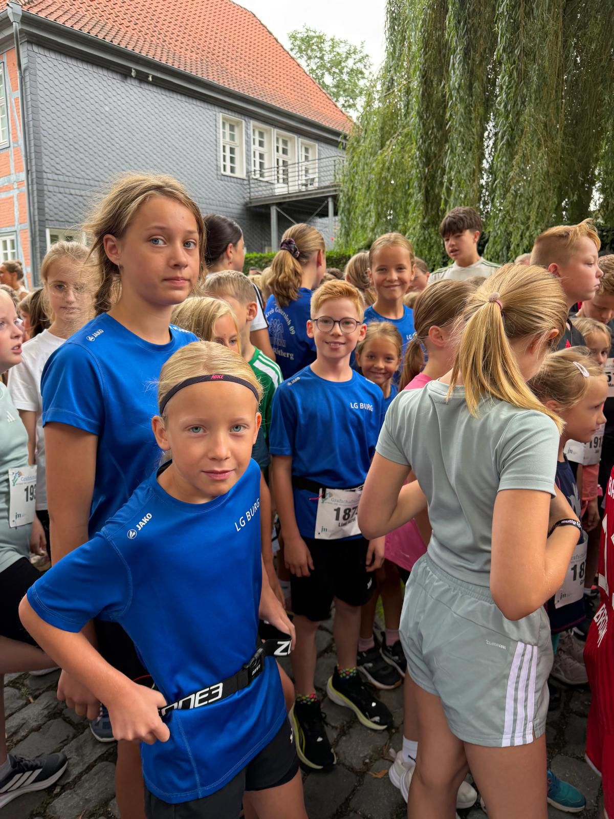 260830 1 DER GRAF3